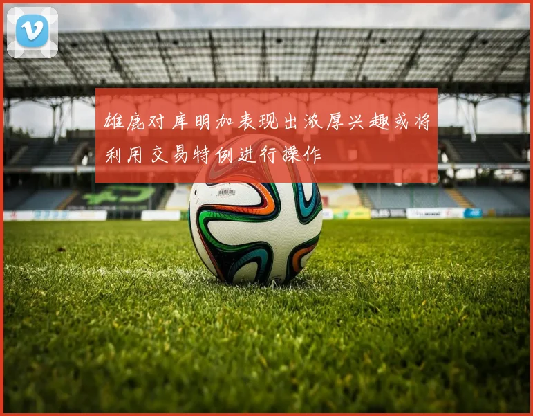 雄鹿对库明加表现出浓厚兴趣或将利用交易特例进行操作